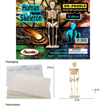 Load image into Gallery viewer, Human Skeleton - 3D Puzzle
